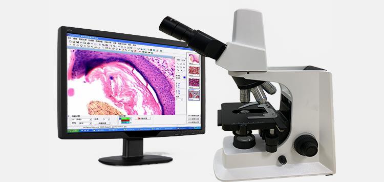 LED USB Digital Microscope factory