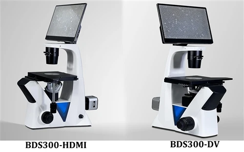Mikroskop Biologi Terbalik Baharu Dengan Monitor