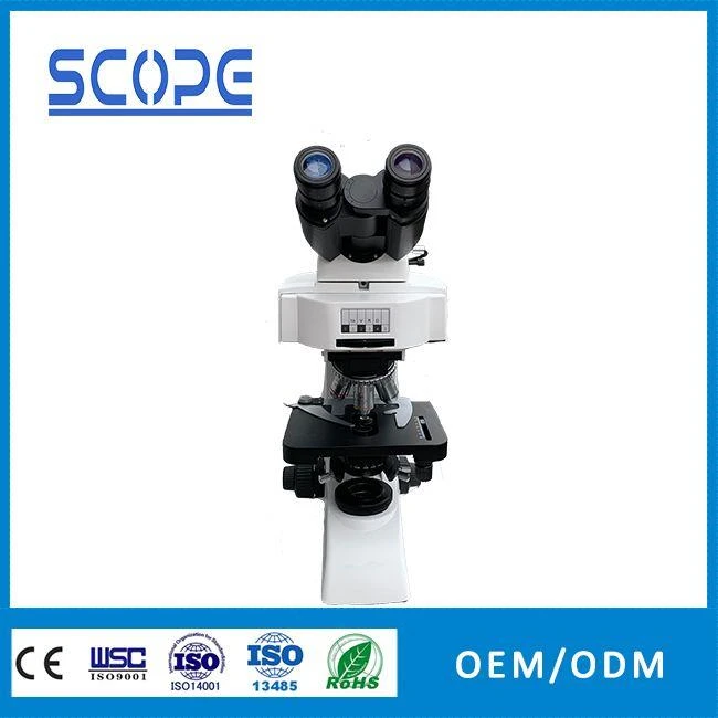 trinocular lab fluorescence biological microscope